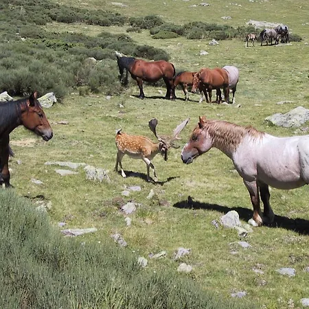 La Coberta-lo Paller Del Coc * Rialp